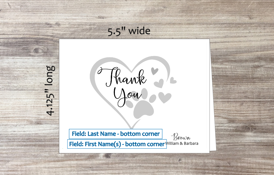 Set of 10 Thank You & COLORED Envelopes (#160190AC)