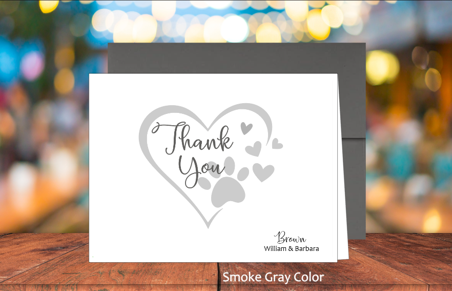 Set of 10 Thank You & COLORED Envelopes (#160190AC)